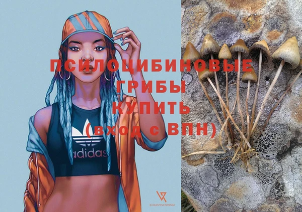 гидропоника Абаза